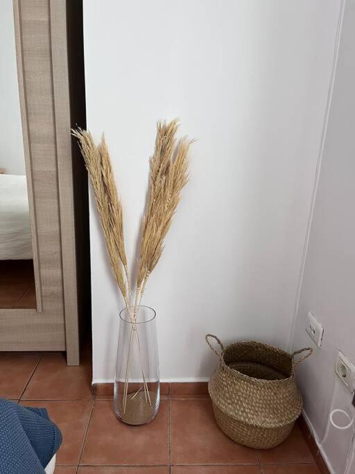 Casa Lunita Διαμέρισμα Arona  Εξωτερικό φωτογραφία